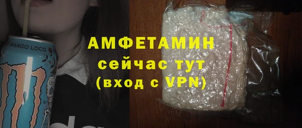 шишки Армянск
