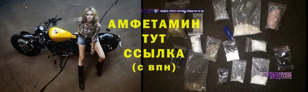 шишки Армянск