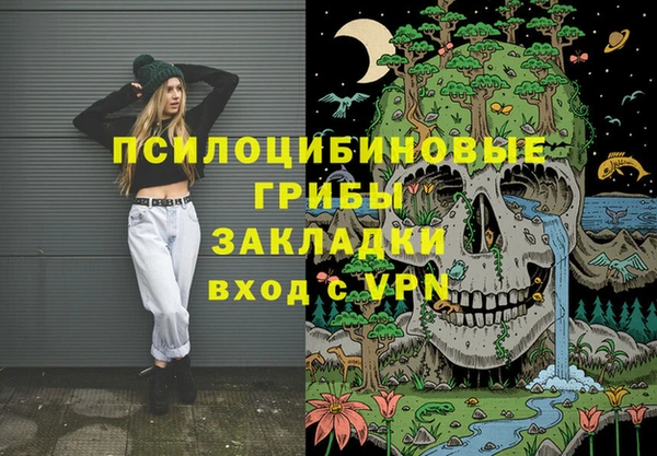шишки Армянск