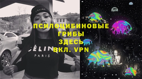шишки Армянск